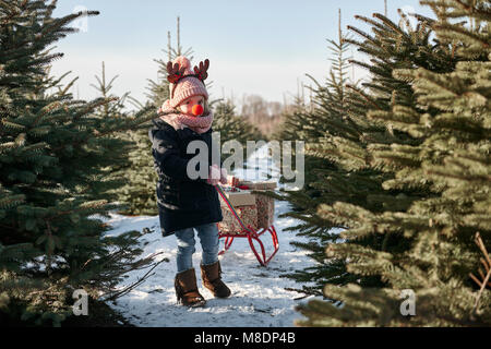 Girl in christmas tree forest pulling presents on toboggan, portrait Stock Photo