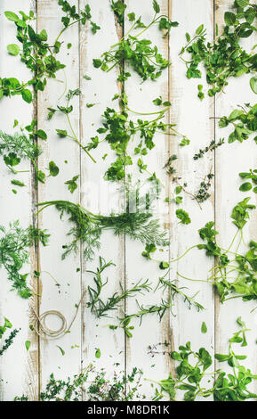 Various fresh green kitchen herbs for healthy cooking Stock Photo