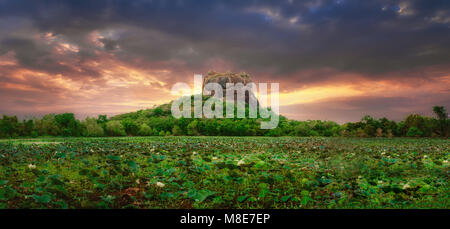 Amazing sunset view of Lion Rock with ancient fortress and temple famous world heritage in Sigiriya, Sri Lanka. Lotus flowers pond at foreground Stock Photo