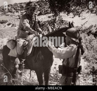 1943 Syria - Trans-Jordan or Trans-Jordanian Frontier Force TJFF army regiment Stock Photo