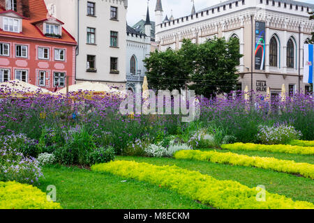 Riga, Latvia. August 21, 2017. Colorful flowers at Livu Square (Livu laukums) Stock Photo