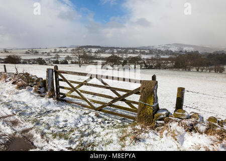 Upper Holloway, Derbyshire, England, U.K. 17th March 2018.  The Beast from the East part 2 brings a cold day with snow in the Derbyshire Dales near to the village of Upper Holloway. Credit: Mark Richardson/Alamy Live News Stock Photo