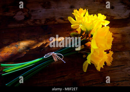 a bunch of 14 yellow daffodils tied together with white string in a bow around the green stems. The flowers are laying on a rustic wooden table top an Stock Photo