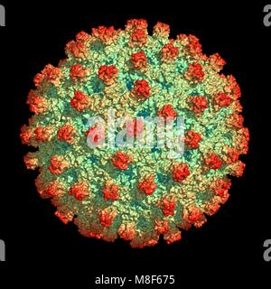 Representation of a Hepatitis B virus particle Stock Photo