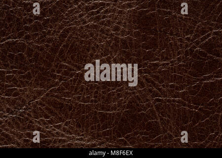 Spectacular leather texture in contrast brown tone. Stock Photo
