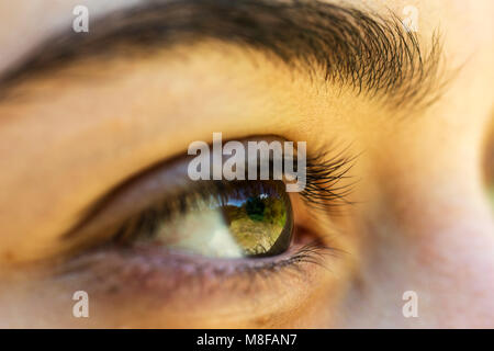 The brown eye of a girl reflecting the green field Stock Photo