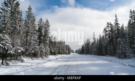 The road is covered with snow as the sun breaks during the winter in National Forest territory Stock Photo