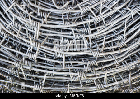 Stainless Barbed wire is coiled as a background Stock Photo