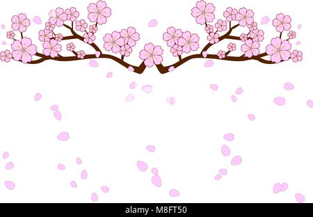 Full bloom cherry blossoms and blowing/flying petals isolated on white background. Vector illustration in flat design. Stock Vector
