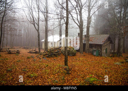 Isolated house in the beeches forest / woods/  old house / isolated / stone house / autumn / forest / fallen leaves Stock Photo