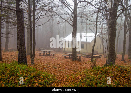 Isolated house in the beeches forest / woods/  old house / isolated / stone house / autumn / forest / fallen leaves Stock Photo