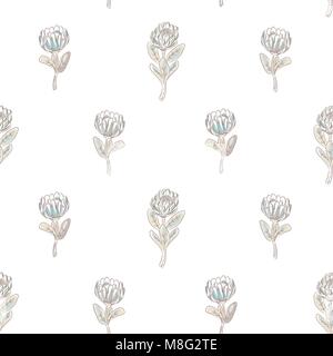 Protea flower seamless vector pattern. Stock Vector