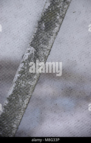 texture of squares, fine metal mesh Stock Photo