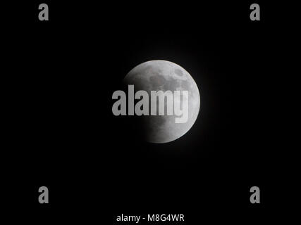 Various phases of a lunar eclipse photographed in the Florida Everglades. Stock Photo