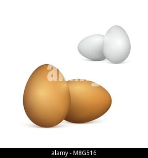 Set of white and brown eggs. Realistic 3d chicken eggs. Vector illustration isolated on white background Stock Vector