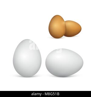 Set of couple white and brown eggs. Realistic 3d chicken eggs. Vector illustration isolated on white background Stock Vector
