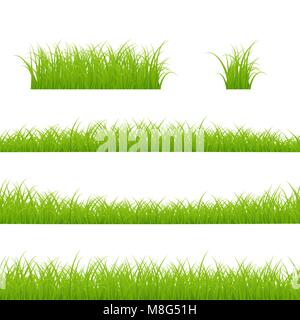 Grass Borders Set. Grass Plant Panorama. Vector illustration isolated on white background Stock Vector