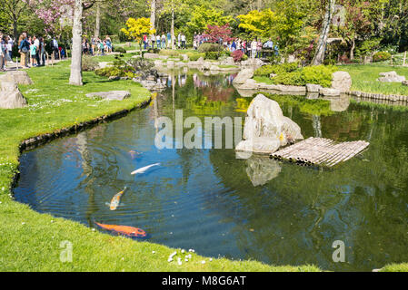 Japanese style pond with koy carp swimming in it and people enjoying the sunny warm day in the Kyoto Gardens, Holland Park, Kensington and Chelsea. Stock Photo