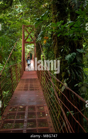 A suspension bridge allows visitors to view the rainforest floor from above in Monteverde Cloud Forest Reserve. Stock Photo