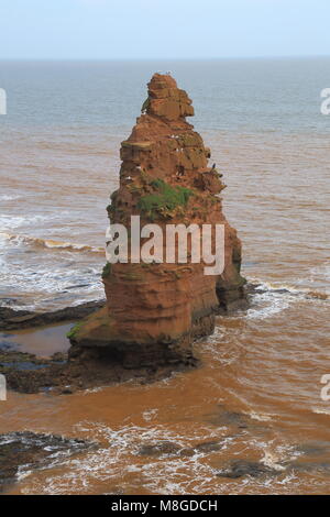 Sea stack in Ladram Bay near town of Sidmouth in Devon Stock Photo