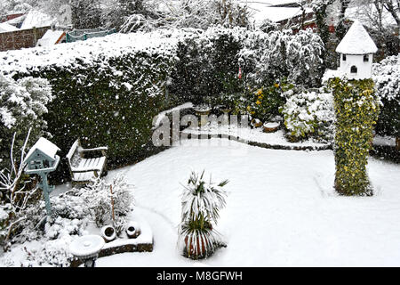 View from above looking down back garden grass lawn thuja plicata hedge & flower beds falling winter snow ivy grows up old tree stump Essex England UK Stock Photo