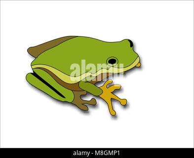 Cartoon big green frog on a white background. Stock Vector