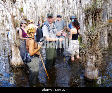 BICY pr image a cr Gustave Pellerin   .Every winter and Spring   rangers and volunteers lead groups of visitors into the swamp to explore. Stock Photo