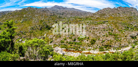 View of the Slanghoekberge Mountains and the Witrivier, flowing through the canyon, from the scenic Bainskloof Pass between the towns Ceres and Wellin Stock Photo