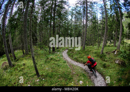 A  mountain biker rides a trail through a forest in the Austrian alpine resort of Biberwier. Stock Photo