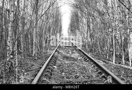 Abandoned and overgrown single railway track at Toton Sidings, Nottinghamshire, UK Stock Photo