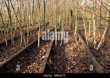 Abandoned and overgrown railway track at Toton Sidings, Nottinghamshire, UK Stock Photo