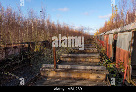 Abandoned railway carriages and wagons Stock Photo