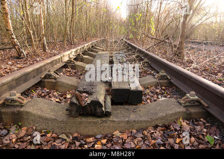 Abandoned and overgrown railway track at Toton Sidings, Nottinghamshire, UK Stock Photo