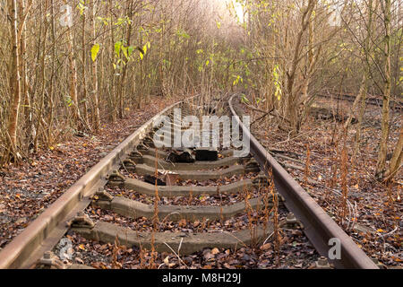 Abandoned and overgrown railway track at Toton Sidings, Nottinghamshire, UK Stock Photo