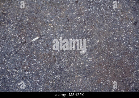 wet asphalt after the rain, the greyness . Stock Photo