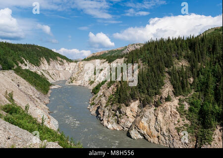 Nenana River, Alaska, USA Stock Photo