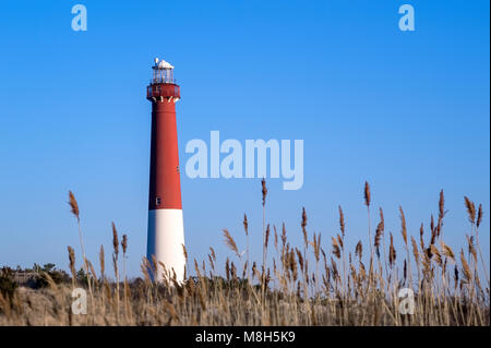 Barnegat Lighthouse, Long Beach Island, New Jersey, USA. Stock Photo