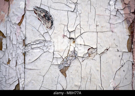 Background of white, peeling paint on an old wall Stock Photo