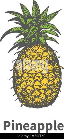 Vector hand-drawn single yellow ripe pineapple Stock Vector