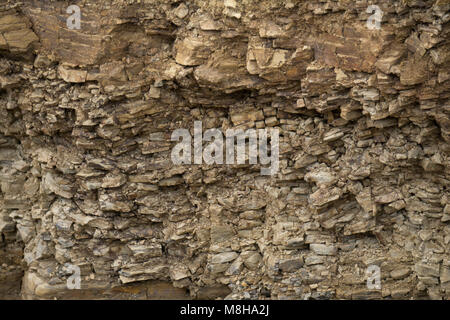 Historical dry slate stone wall with fern hair-like in nature mountains Stock Photo