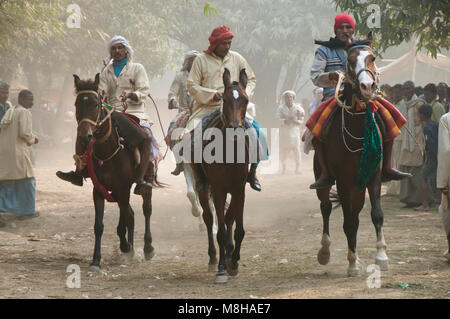 Race horses at Sonepur Mela. India Stock Photo