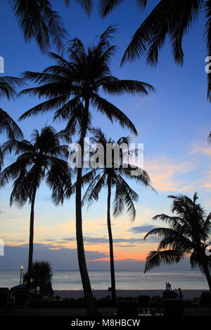 Thailand, Phuket, Kata Noi Beach, sunset, palms, people, Stock Photo