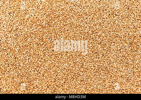Dark Buckwheat texture high-quality photo of premium buckwheat groats Stock Photo