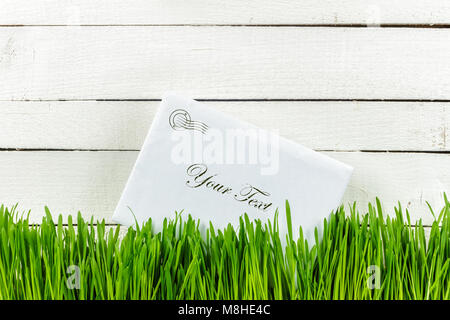 Green grass on white background, old tree. The receipt of the letter in the envelope. Place for Your text. Stock Photo