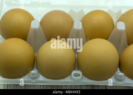 Eggs in box isolated shell ten tray . Stock Photo