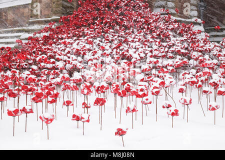 Hereford, Herefordshire, UK - Sunday 18th March 2018 - Hereford Cathedral heavy snowfall overnight continues during Sunday morning  - snow falls on the Weeping Windows ceramic poppy art installation by artist Paul Cummins that commemorates the centenary of WW1 - Steven May /Alamy Live News