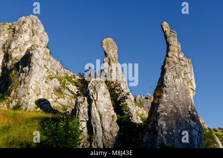 Rock formation 'Steinerne Jungfrauen' (limestone) in the Eselsburger Tal  near Herbrechtingen on the Swabian Alps, Baden-Württemberg, Germany Stock Photo