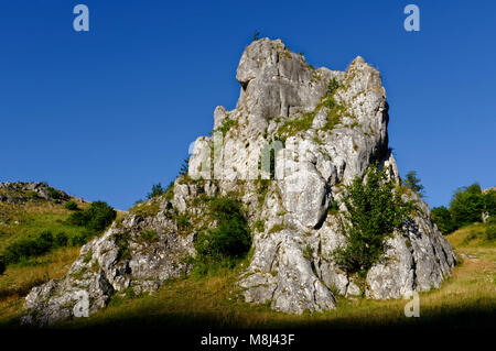 Rock formation (limestone) in the Eselsburger Tal  near Herbrechtingen on the Swabian Alps, Heidenheim District, Baden-Württemberg, Germany Stock Photo