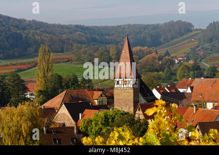 Wine village Haberschlacht, near Brackenheim: View with Jakobuskirche and vineyards, Baden-Württemberg, Germany Stock Photo