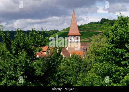 Wine village Haberschlacht, near Brackenheim: View with Jakobuskirche and vineyards, Heilbronn District, Baden-Württemberg, Germany Stock Photo